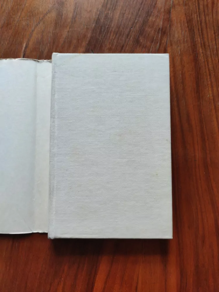 SINCLAIR LEWIS - Past na muže