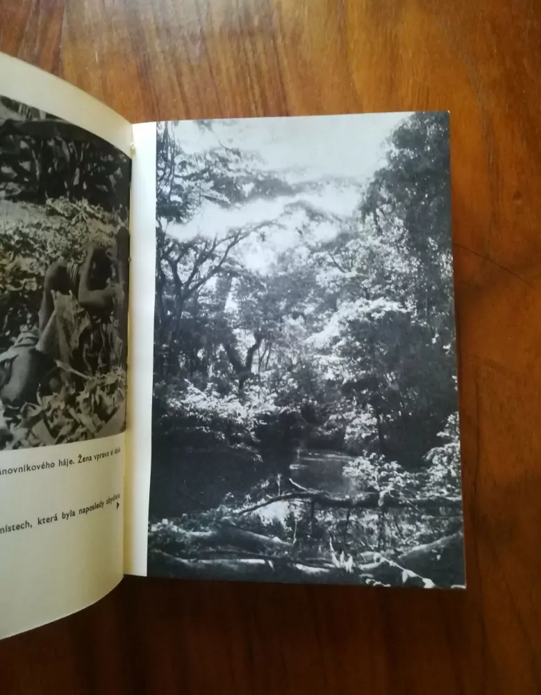 GEORGE B. SCHALLER - Rok mezi gorilami