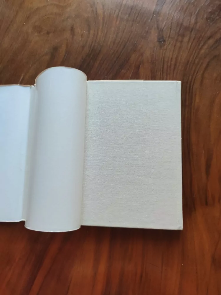 THEODOR STORM - Včelí jezero