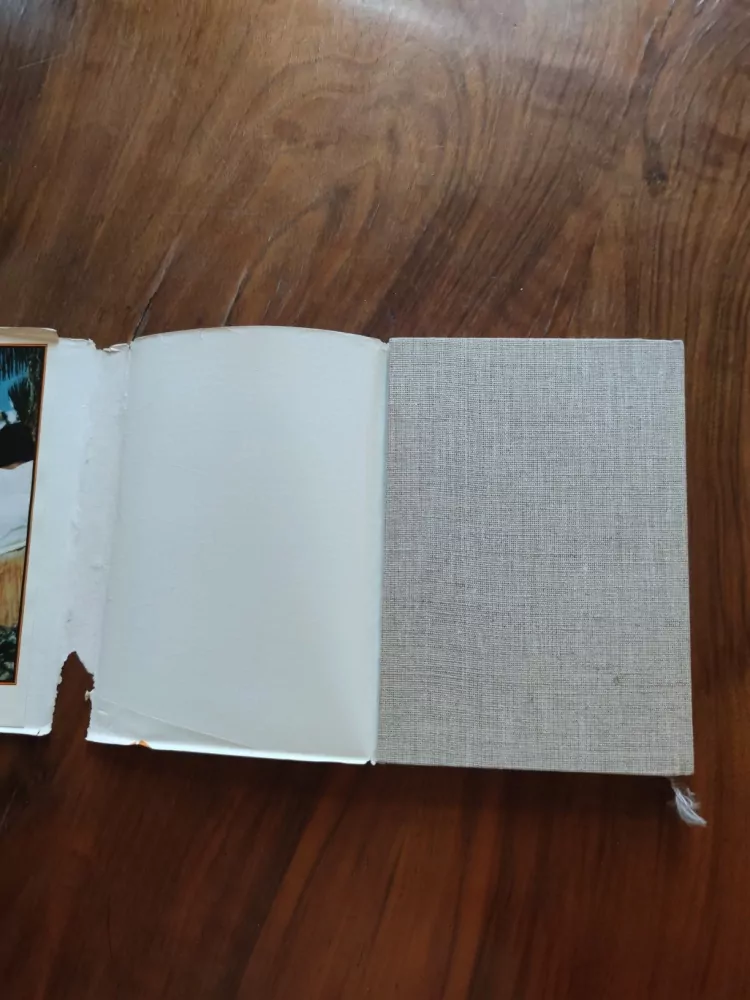 BERNARD GORSKY - Poslední ostrov