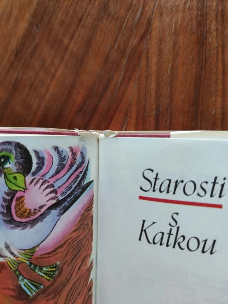 JOSEF SUCHÝ - Katka má starosti s Katkou