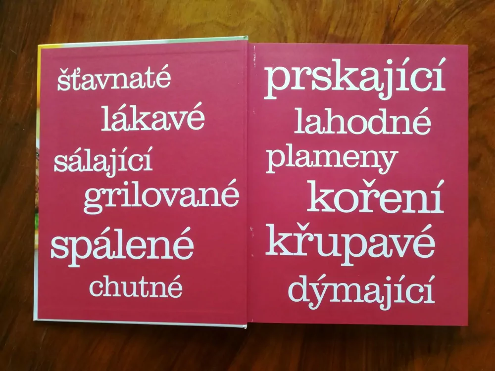 GRILOVÁNÍ - příprava chutných pokrmů na venkovním grilu