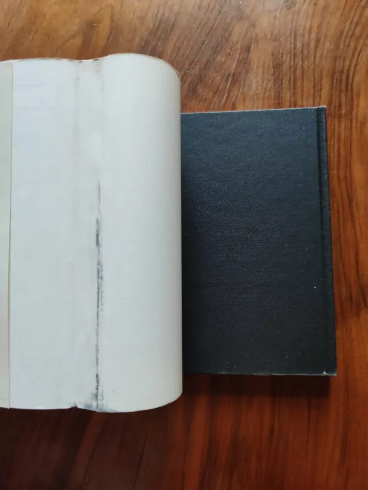 PAVEL ŠESTAKOV - Tri dni v Dagezane