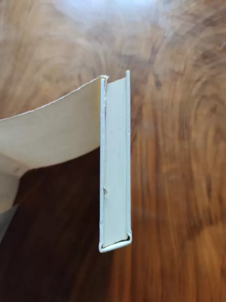 ROMAN RÁŽ - Prodavač humoru