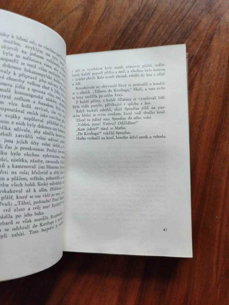 GUSTAVE FLAUBERT - Salambo