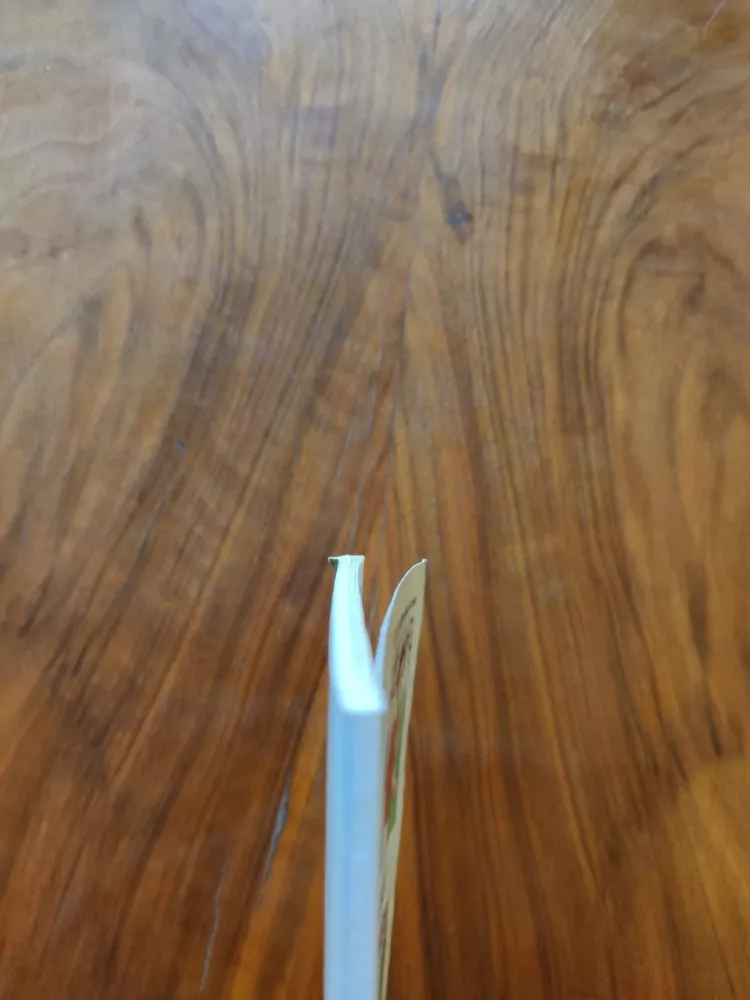 OD BICANA K MASNÉMU