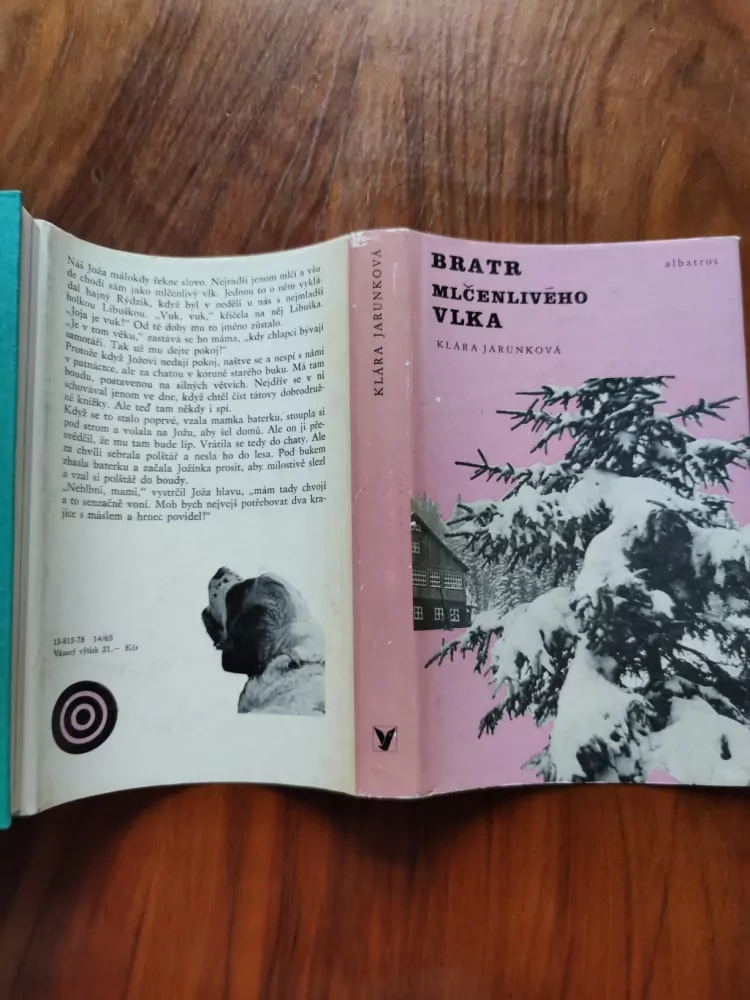 KLÁRA JARUNKOVÁ - Bratr mlčenlivého vlka