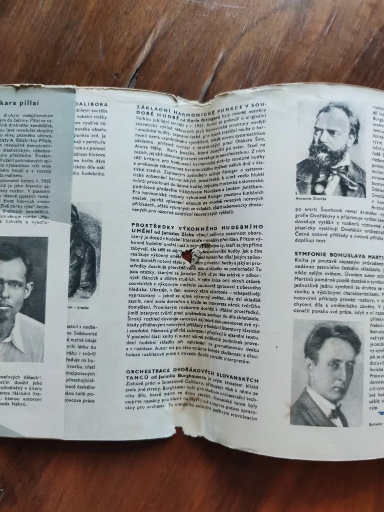 TAKAŘI ŠIVAŠANKARA PILLAI - Červená ryba