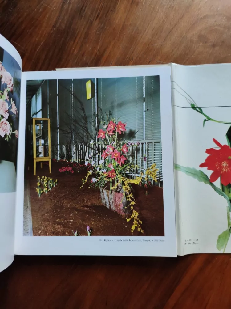 RUDOLF SMAHEL - Flora Olomouc