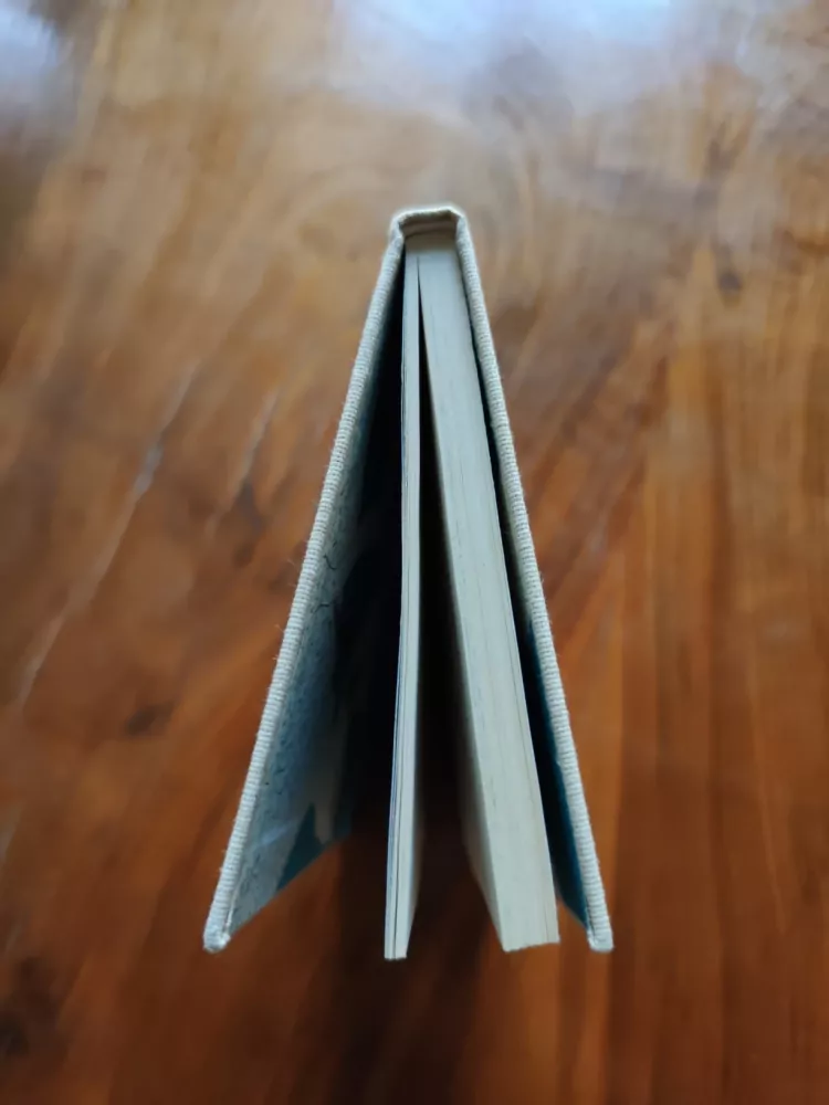 JARMILA ČERNÍKOVÁ - Poslední prázdniny