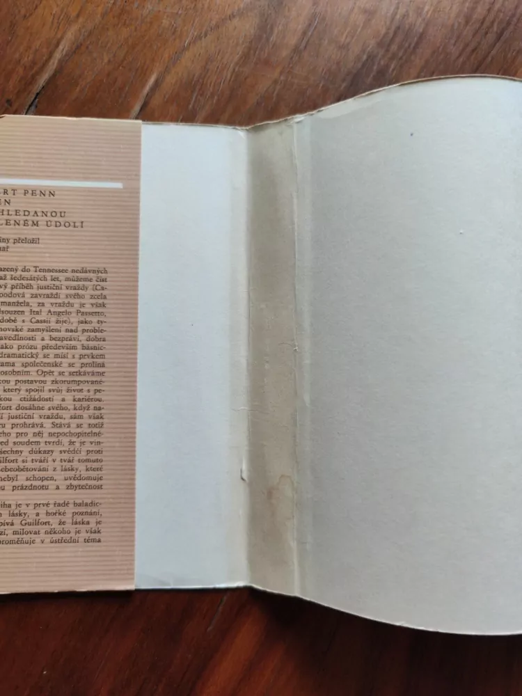 ROBERT PENN WARREN - Na shledanou v Zeleném údolí