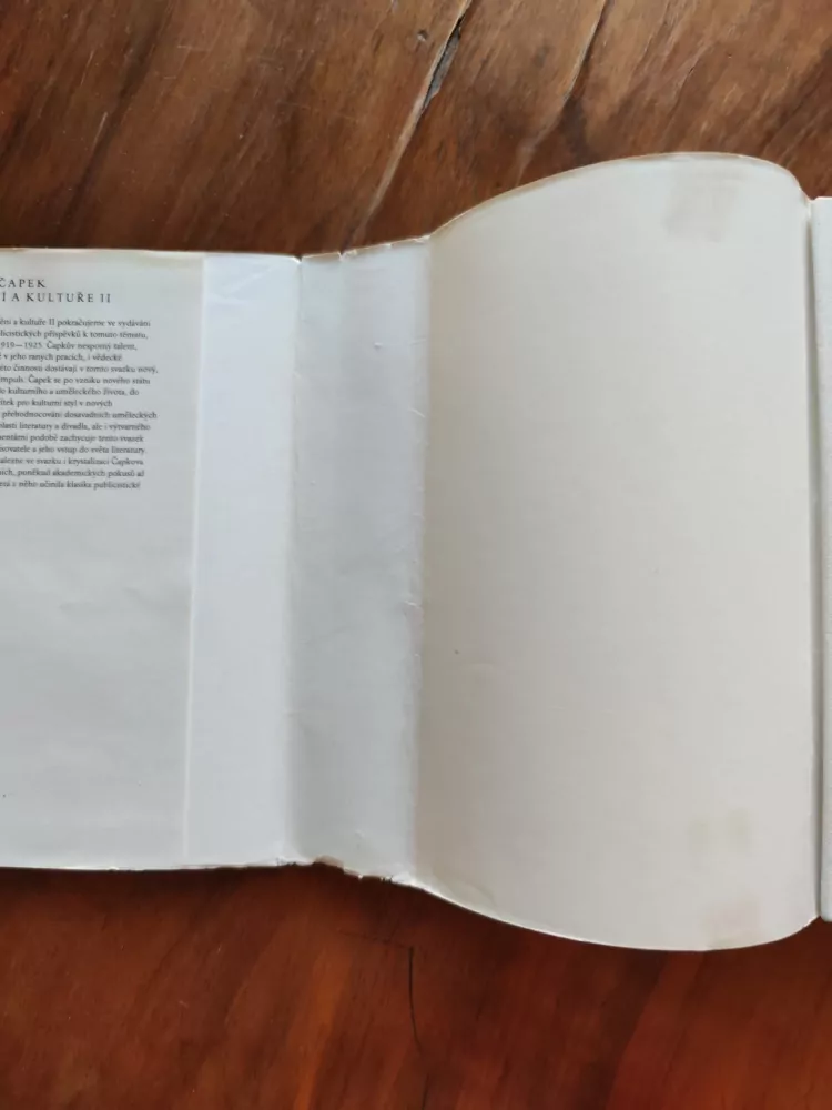 KAREL ČAPEK - Spisy o umění a kultuře II