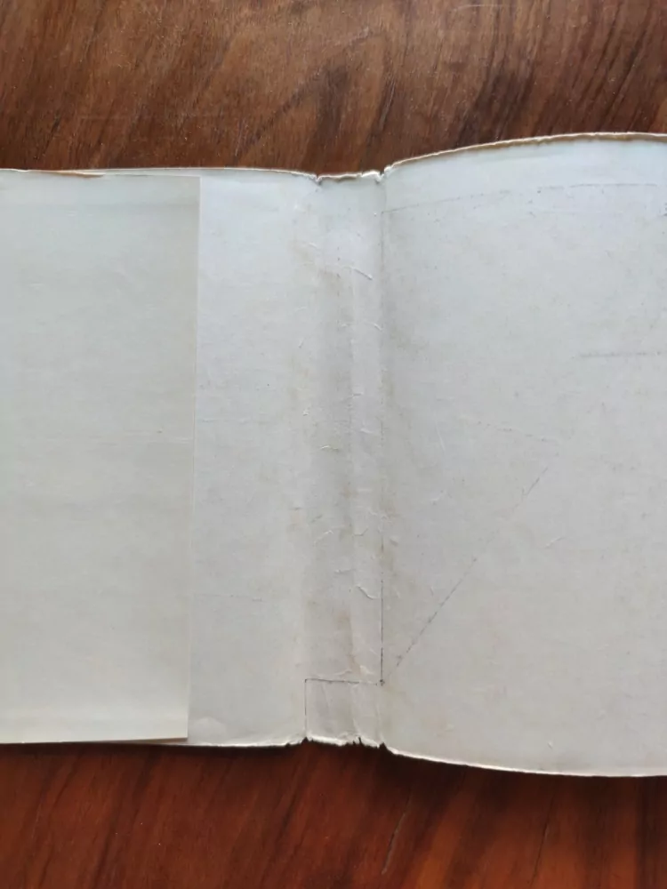 HENRI PERRUCHOT - Cézannův život