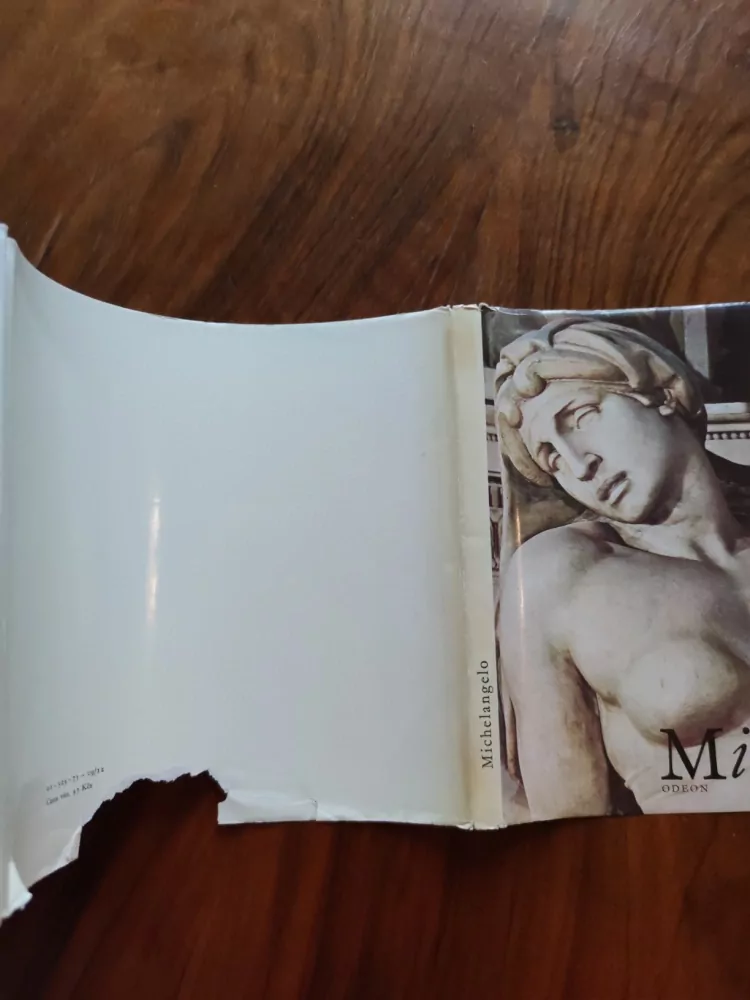 OLDŘICH J. BLAŽÍČEK - Michelangelo