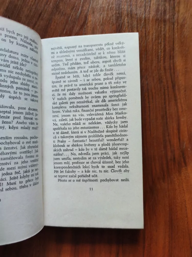 SLÁVKA POBEROVÁ - Zlodějky vody