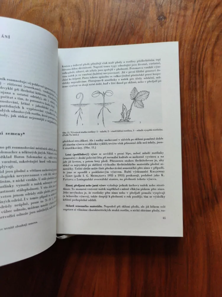 JOSEF PEIKER - Jahody