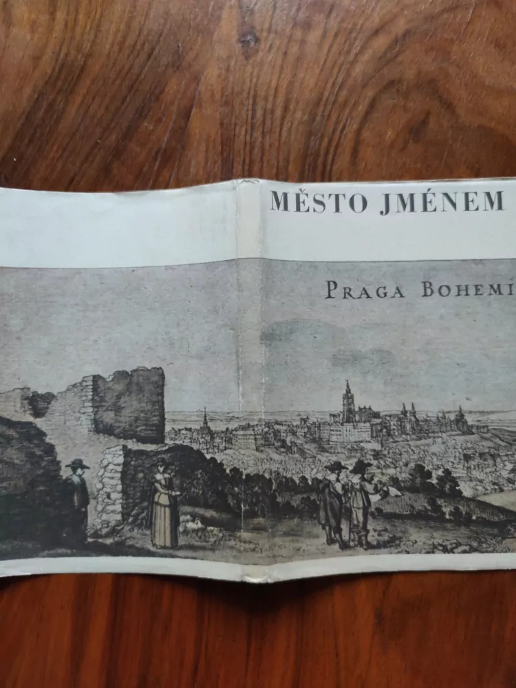KAREL ŠIKTANC - Město jménem Praha