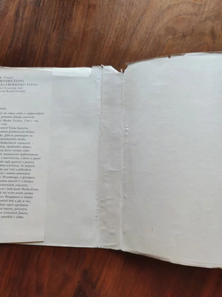 MARK TWAIN - Dobrodružství Huckleberryho Finna