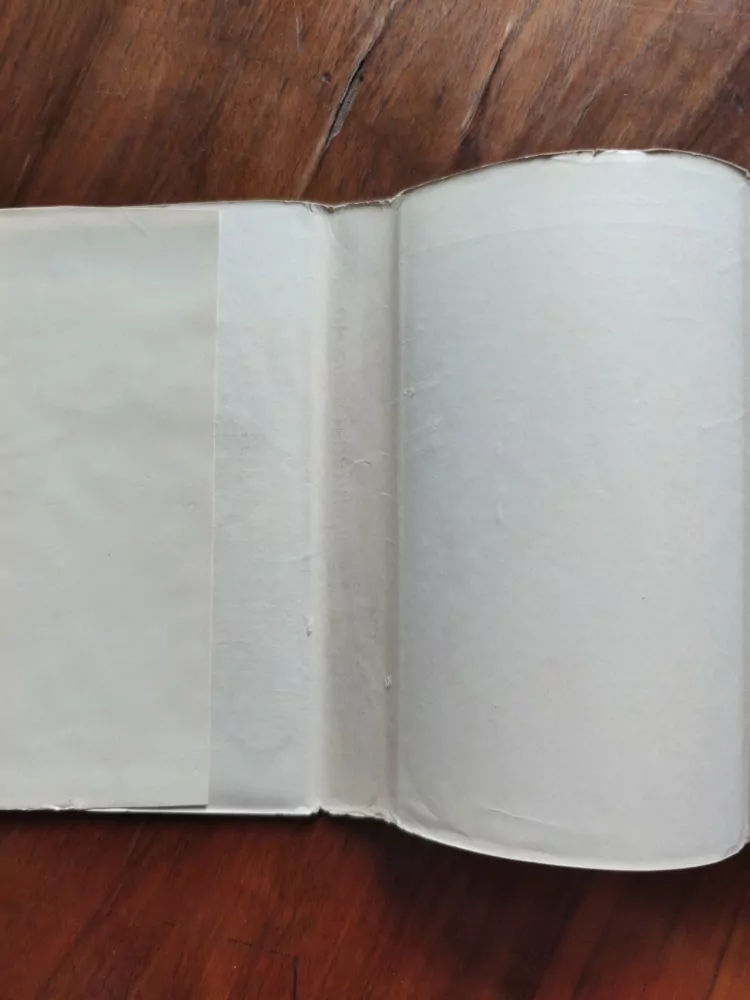 MARK TWAIN - Dobrodružství Huckleberryho Finna