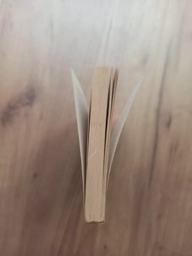 ROGER ZELAZNY - Dvory chaosu - tajemný Amber
