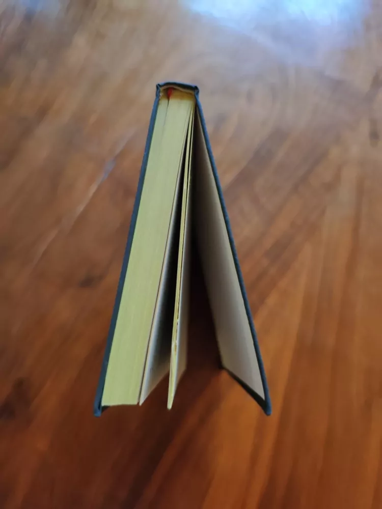 AUGUST STRINBERG - Syn služky