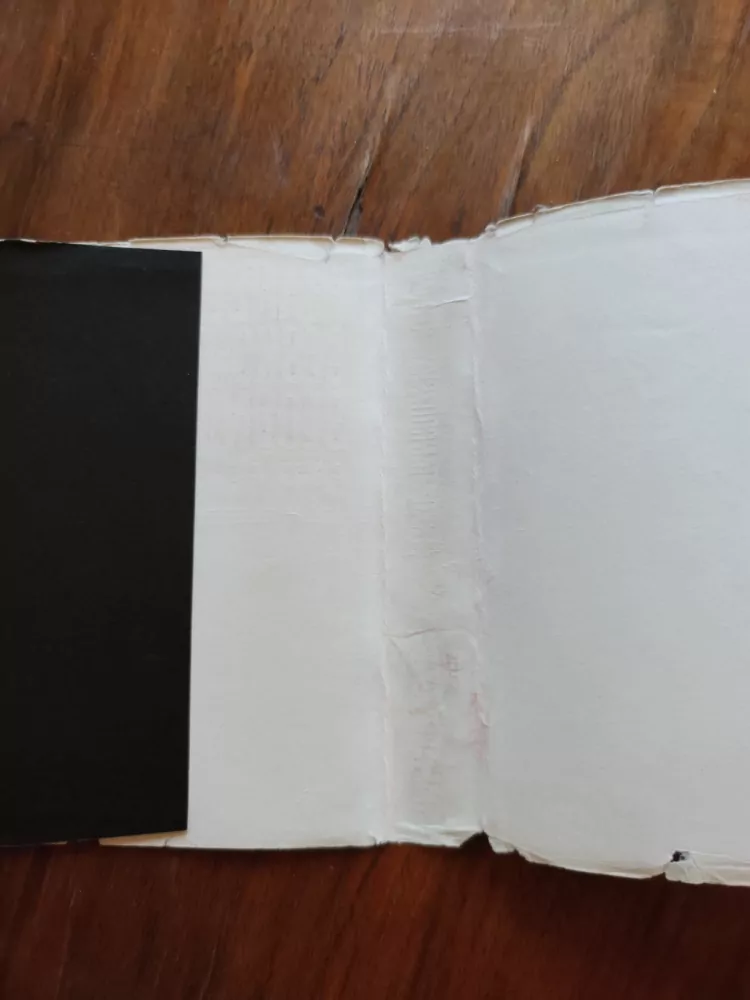 VLADIMÍR BUBEN - Francouzsko-český, česko-francouzský slovník, část česko - francouzská