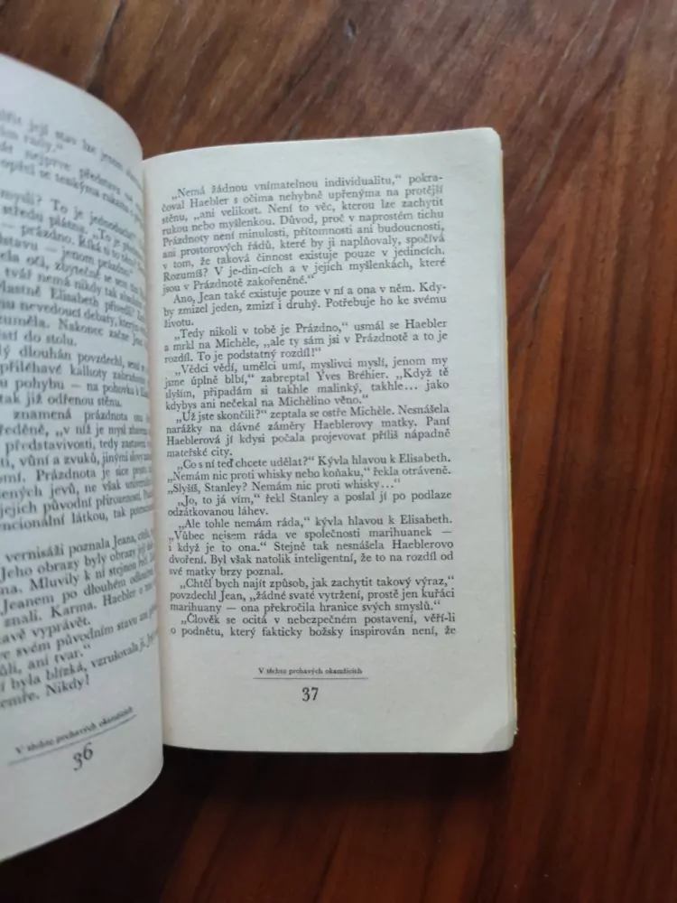 PAVEL HEJCMAN - V těchto prchavých okamžicích