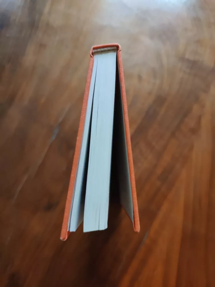 VALJA STÝBLOVÁ  - Zlaté rybky