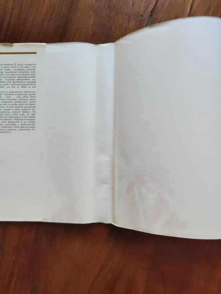 NINA BONHARDOVÁ - Královský úděl