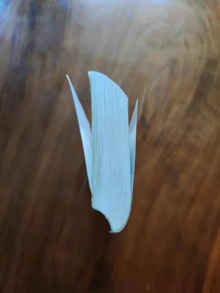 PHYLLIS EISENSTEIN - Čarodějův syn