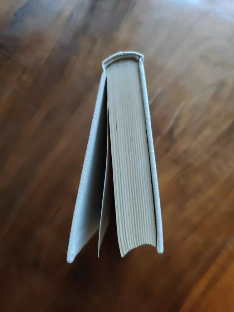 ALEXANDRE DUMAS - Hraběnka de Charny I - Paměti lékařovy