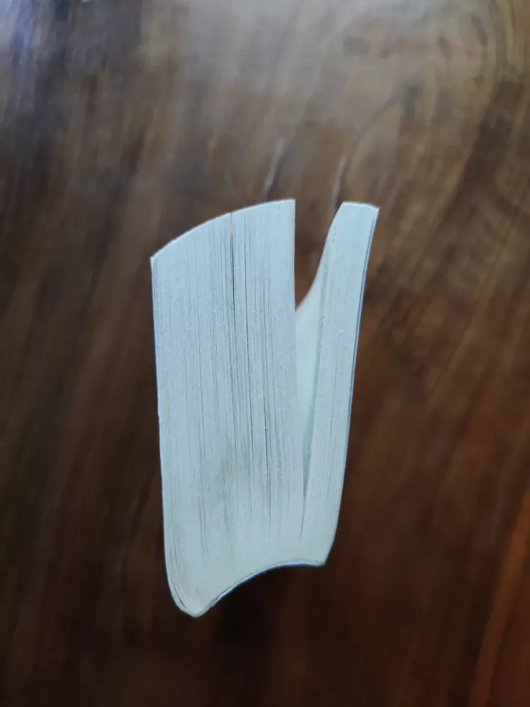 LYNN FLEWELLING - Příchod tmy