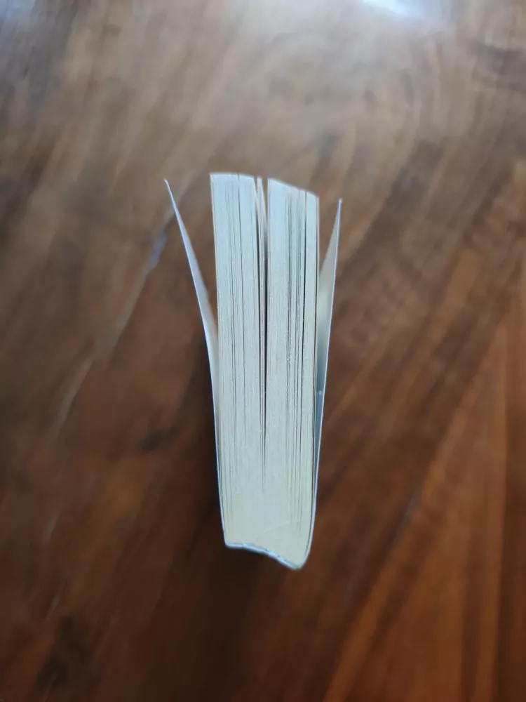 PHYLLIS EISENSTEIN - Stín země