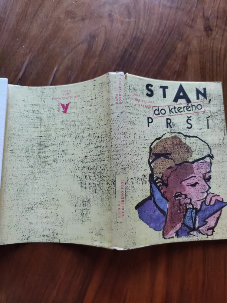 HANA BOŘKOVCOVÁ - Stan, do kterého prší