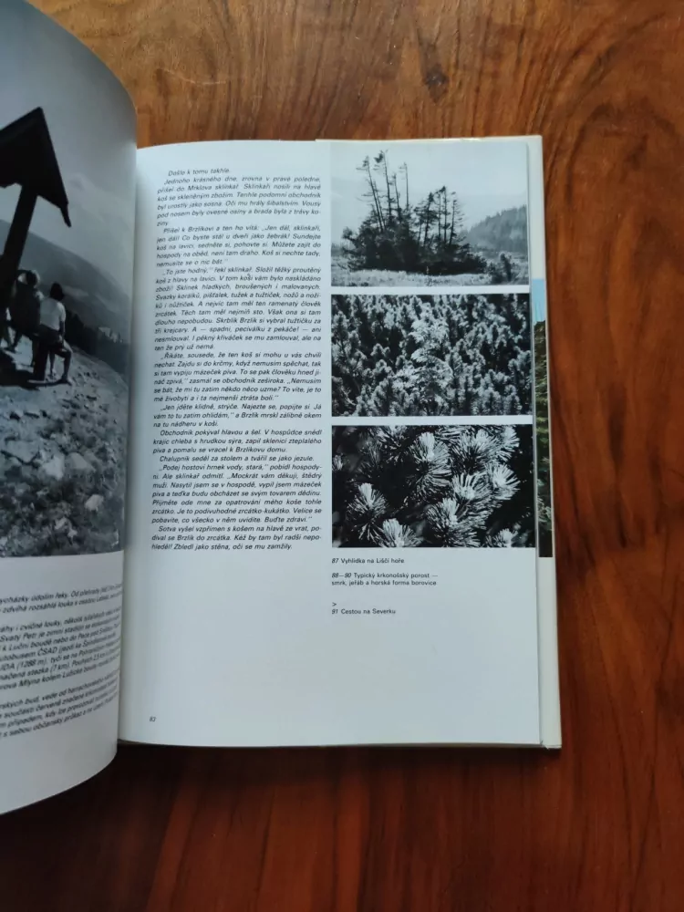 MILADA EINHORNOVÁ, ERICH EINHORN, JAN SUCHL - Na shledanou v Krkonoších