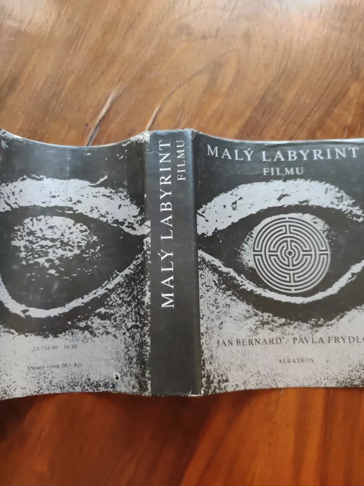 PAVLA FRÝDLOVÁ, JAN BERNARD - Malý labyrint filmu