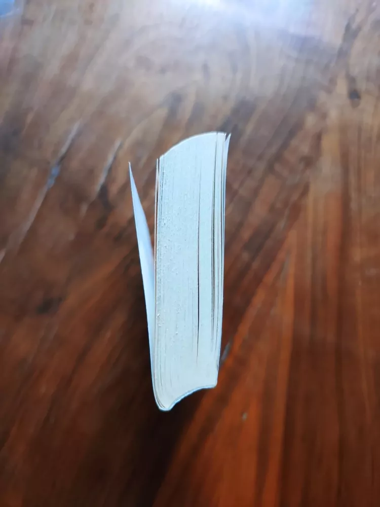 PATRICIA BRIGGS - Riallina hra