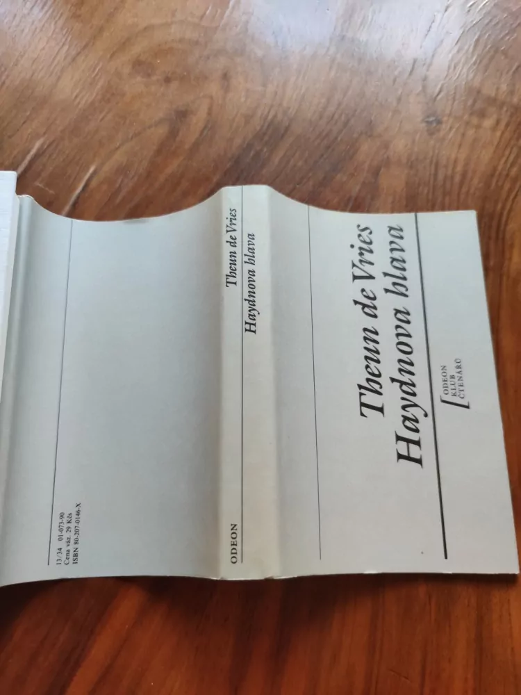 THEUN DE VRIES - Haydnova hlava
