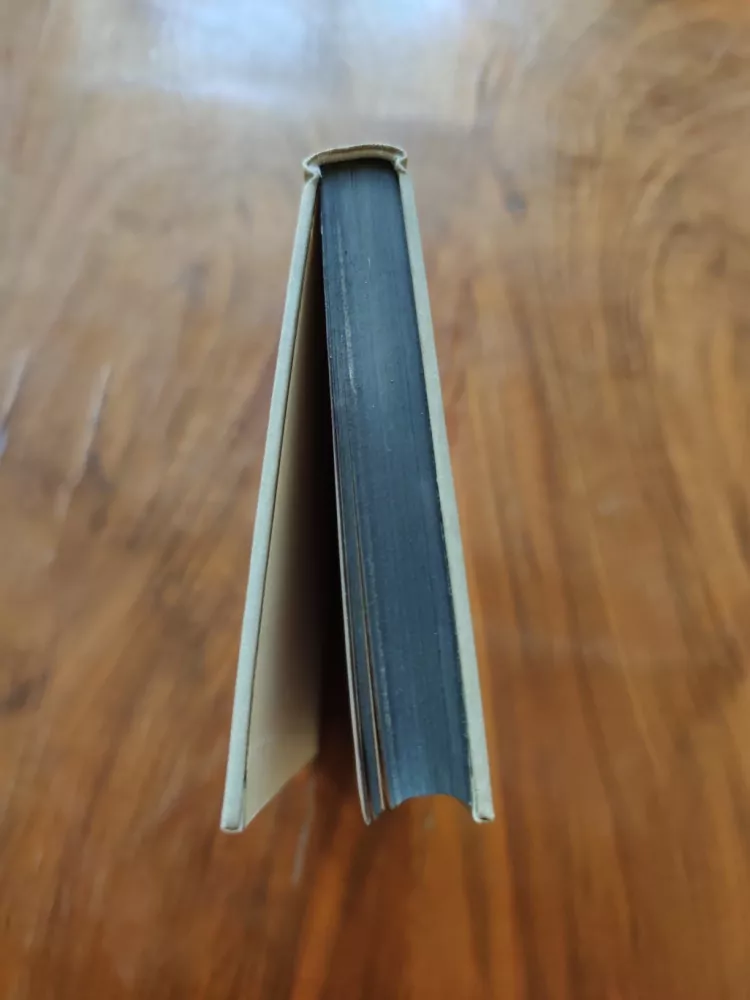 ERICH MARIA REMARQUE - Vítězný oblouk
