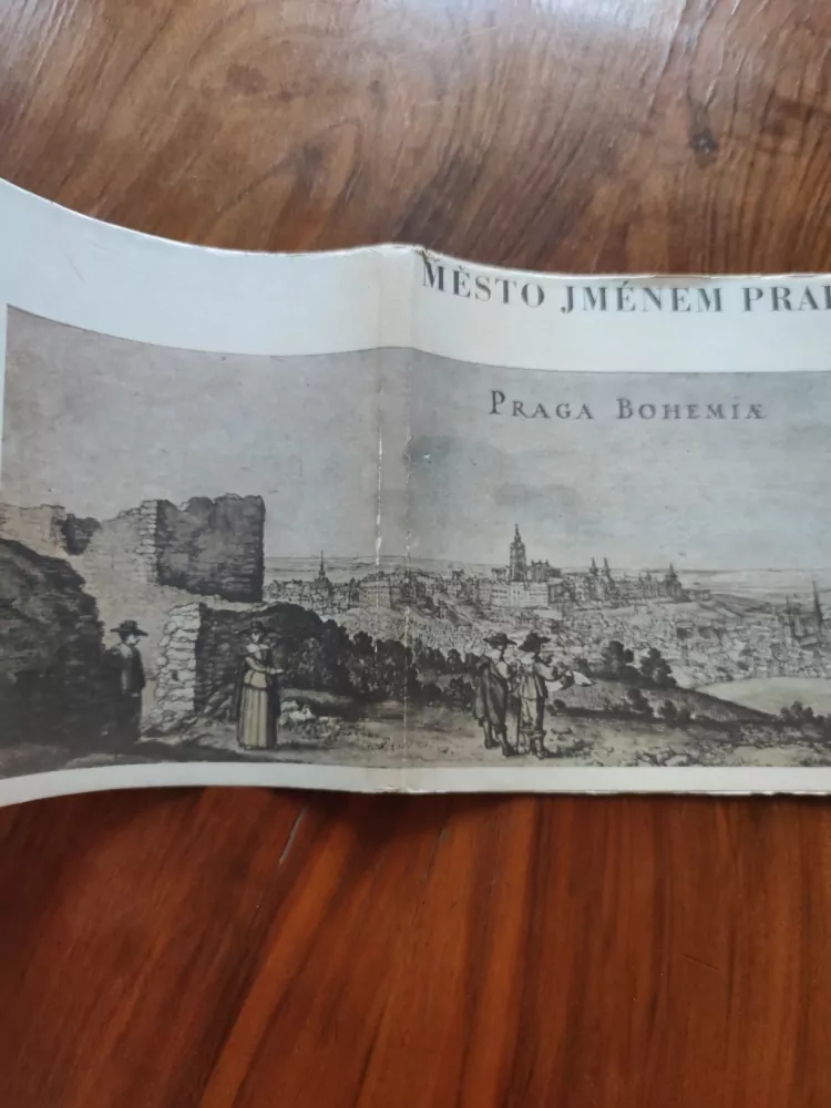 KAREL ŠIKTANC - Město jménem Praha