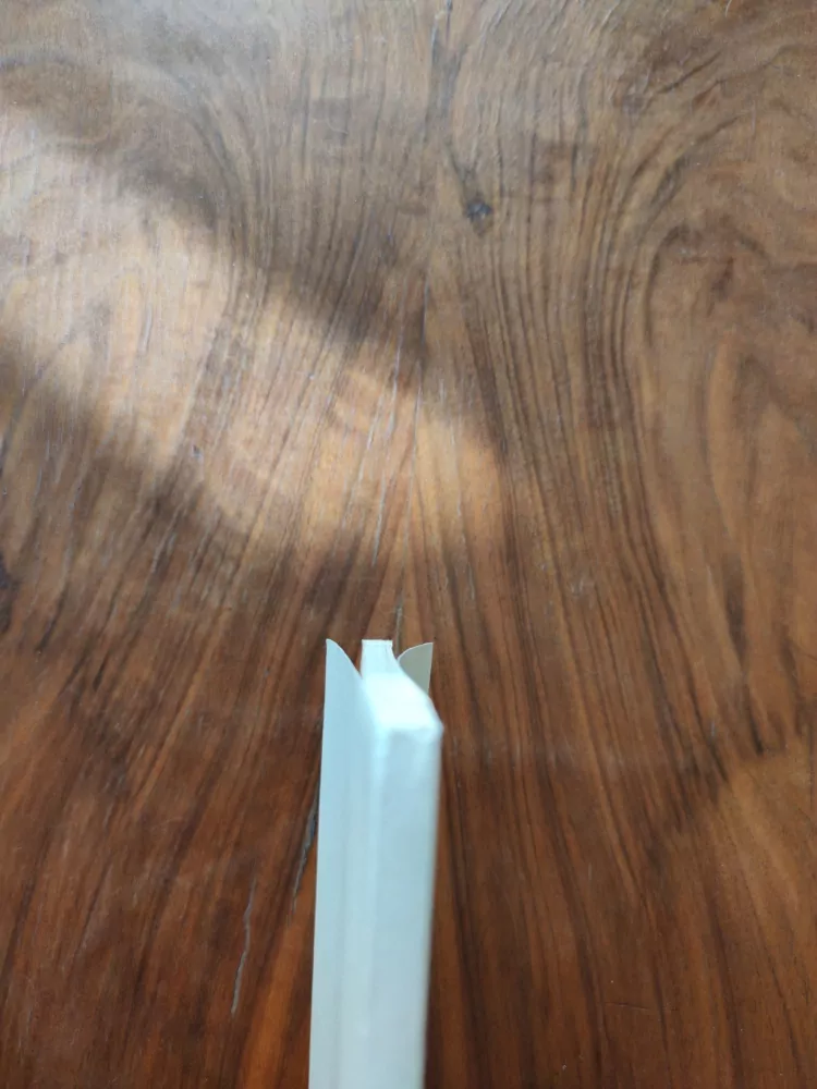 RUŠTINA PRO VĚDECKÉ PRACOVNÍKY