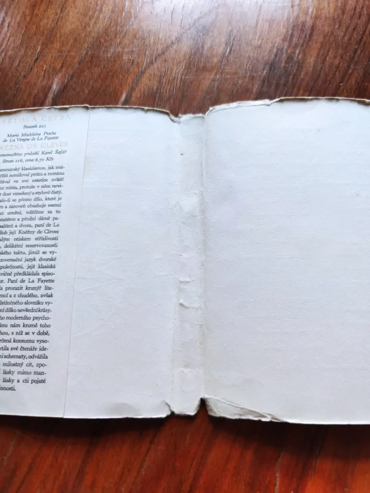 MARIE-MADELEINE PIOCHE DE LA VERGNE DE LA FAYETTE - Kněžna de Clèves