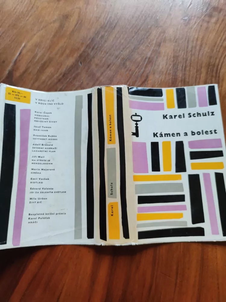 KAREL SCHULTZ - Kámen a bolest