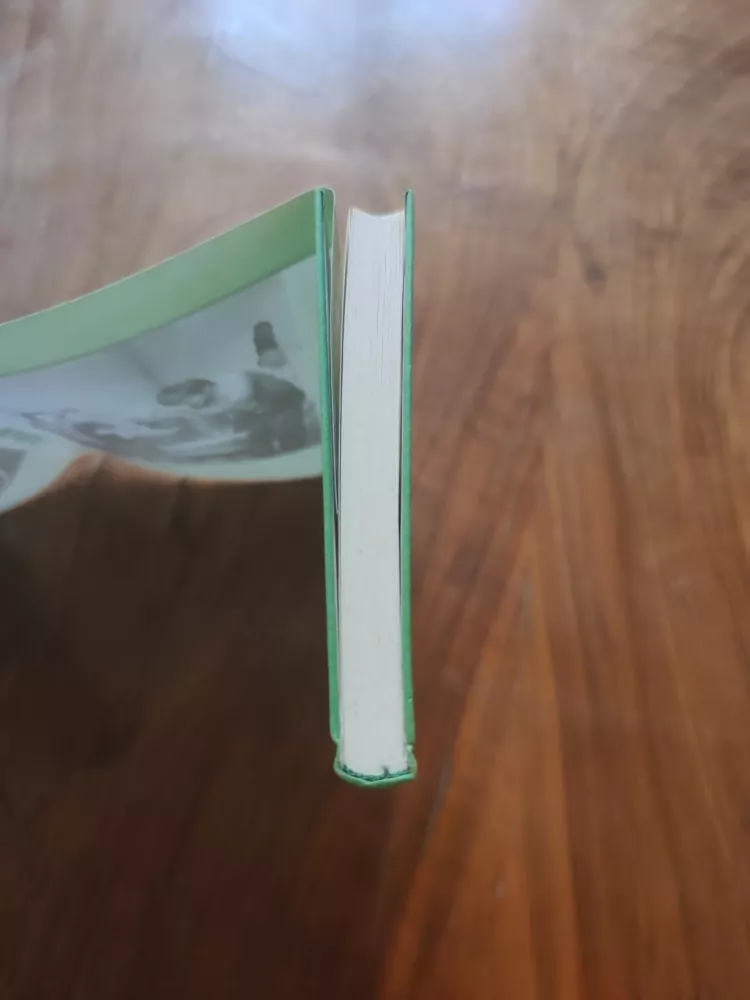 EDUARD VERNER - Utrpení mladého Boháčka