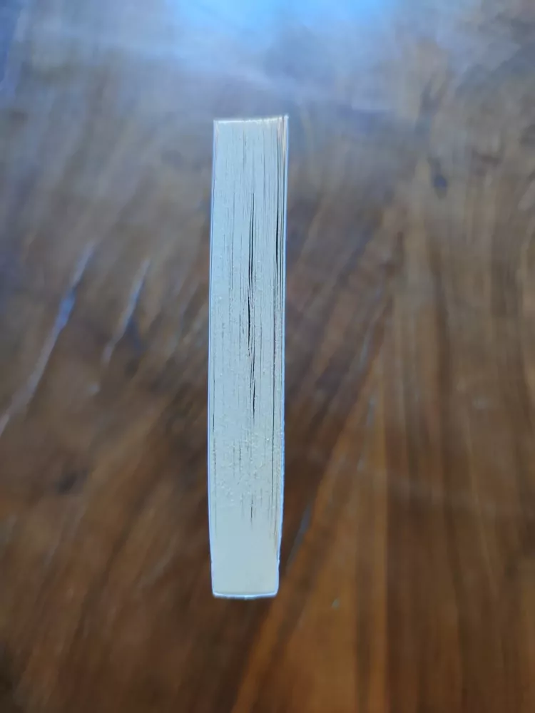 MILOŠ RÝC - Zpověď tajemníka