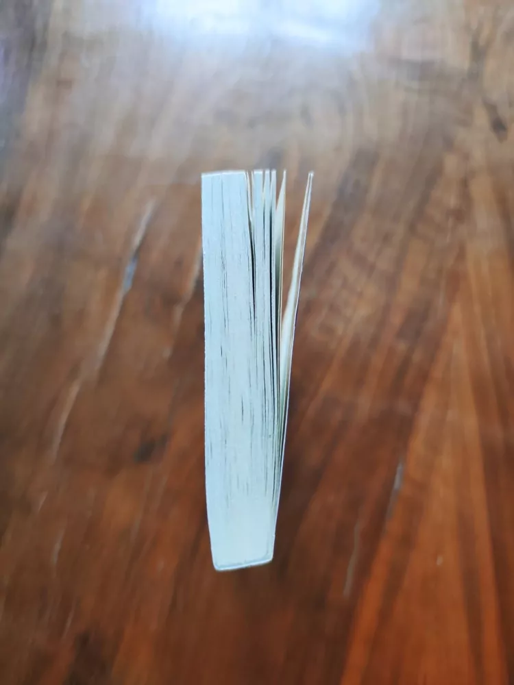 PETER DAVID - Imzadi