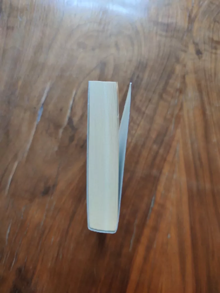 RAY RIGBY - Pahorek z písku