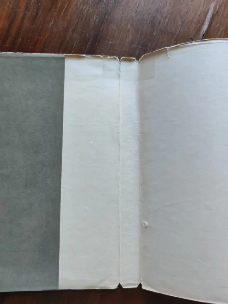 HANNAH MAYER STONE, ABRAHAM STONE - Kniha o manželství