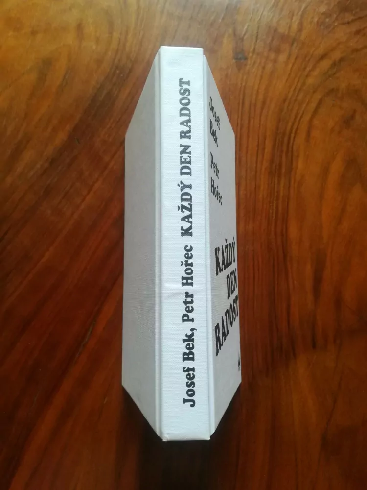 JOSEF BEK, PETR HOŘEC - Každý den radost