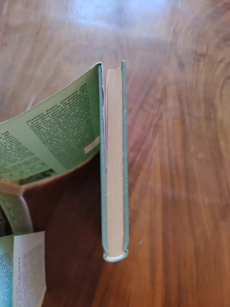 GRAHAM GREENE - Revolver na prodej